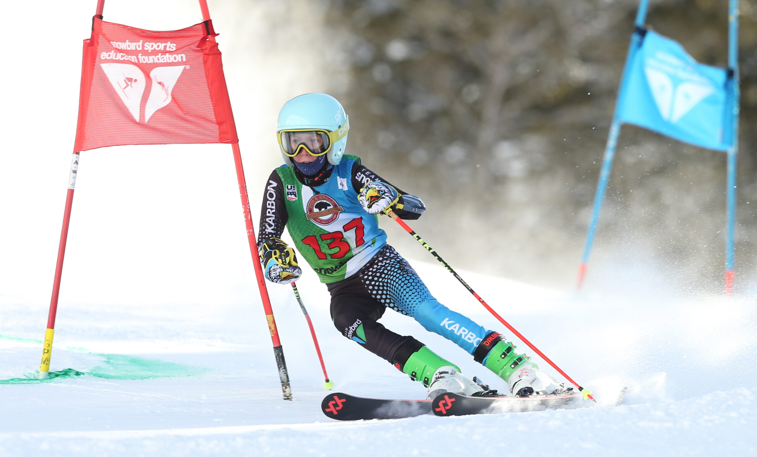 2023 Vonn GS1