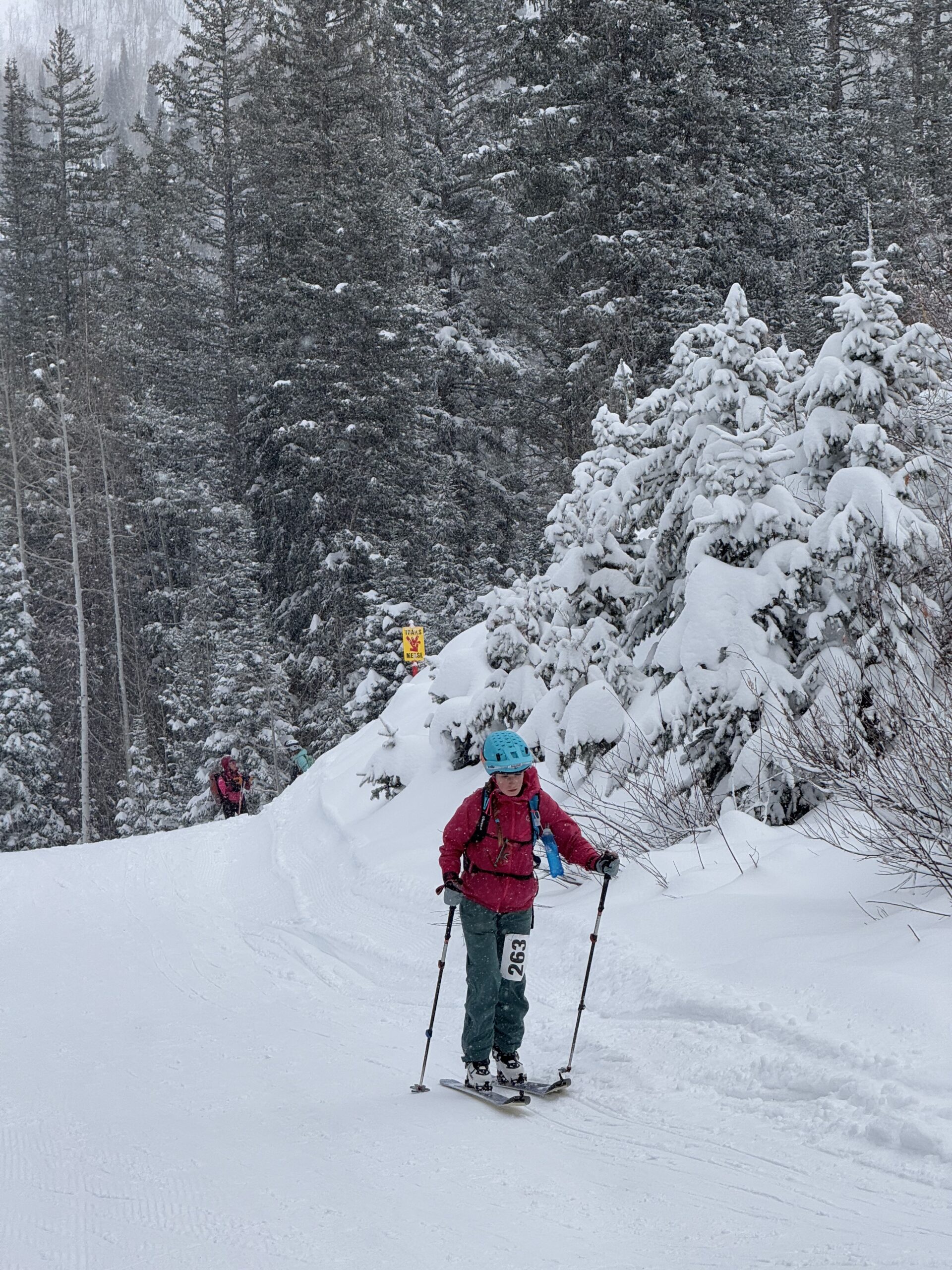 Skier ascending snowy forest trail